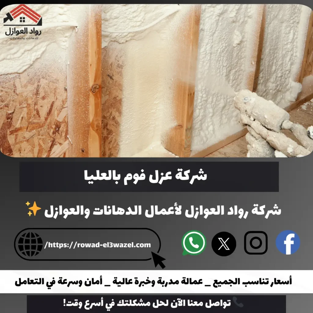 شركة عزل فوم بالعليا